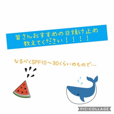 ふう🐶 on LIPS 「『皆さんおすすめの日焼け止め教えてください！！！！』今SPFが..」（1枚目）