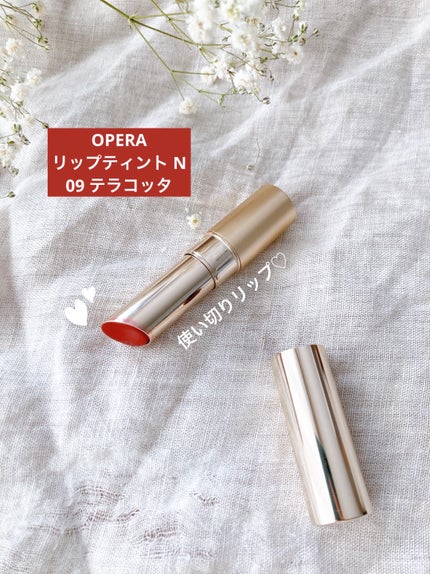 オペラ リップティント N 09 テラコッタ/OPERA/リップティントを使ったクチコミ(1枚目)