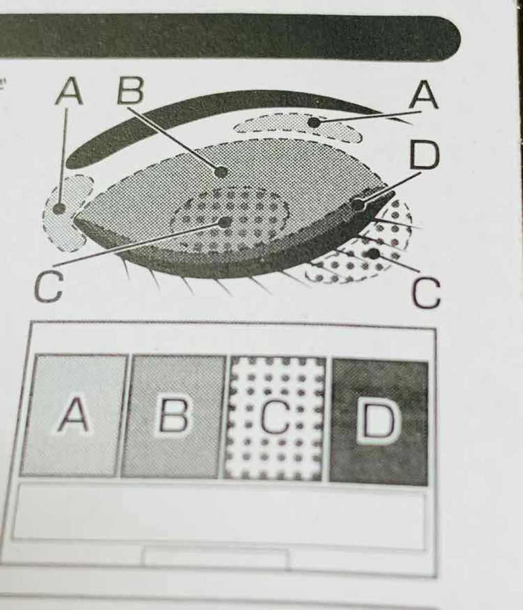 エルファー グリッターアイシャドウ/DAISO/アイシャドウパレットを使ったクチコミ（2枚目）