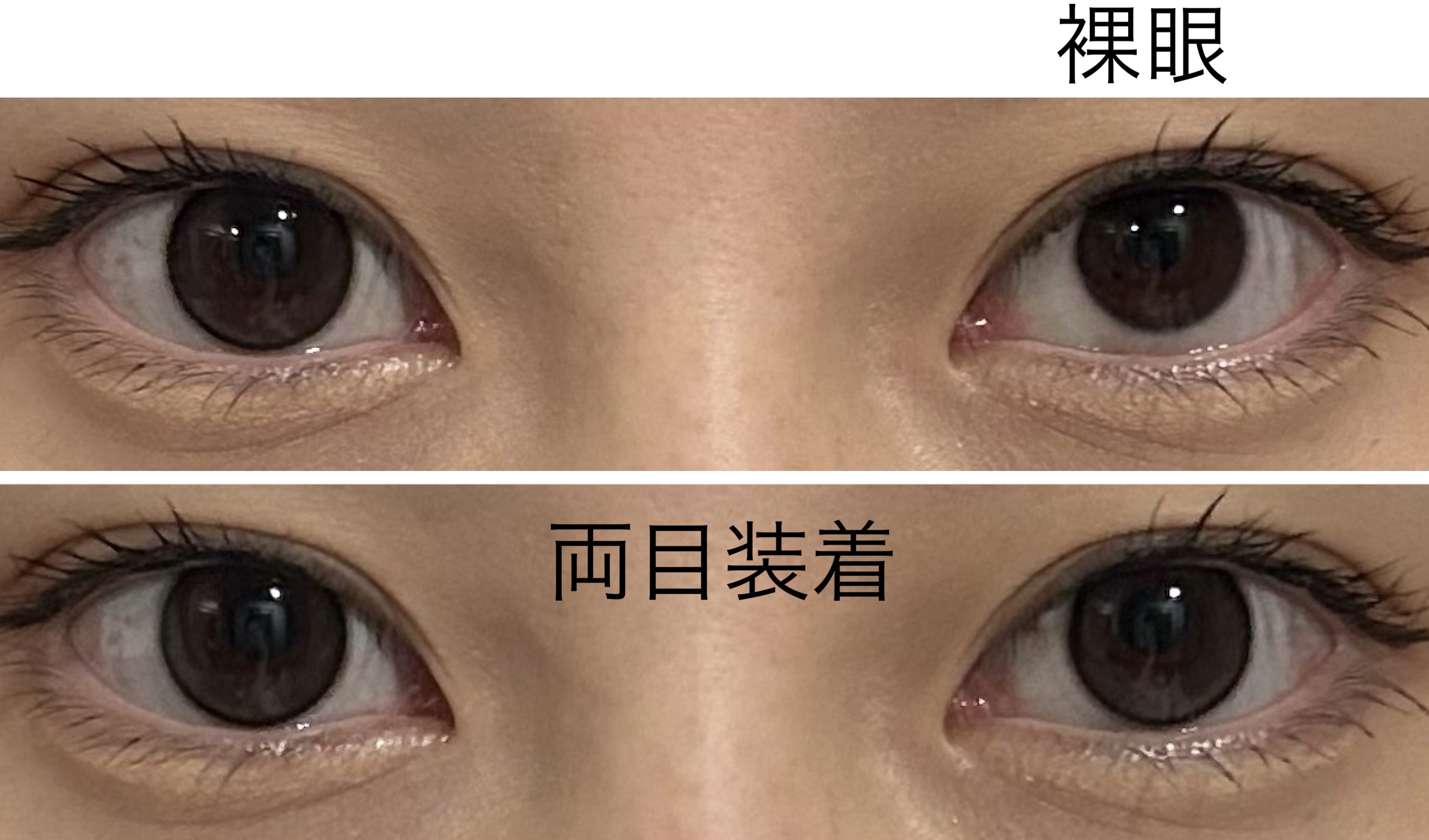 アンジョルノ/en Giorno/カラーコンタクトレンズを使ったクチコミ（3枚目）