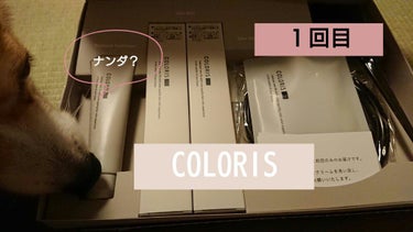 パーソナライズヘアカラー COLORIS/COLORIS/ヘアカラーを使ったクチコミ（1枚目）