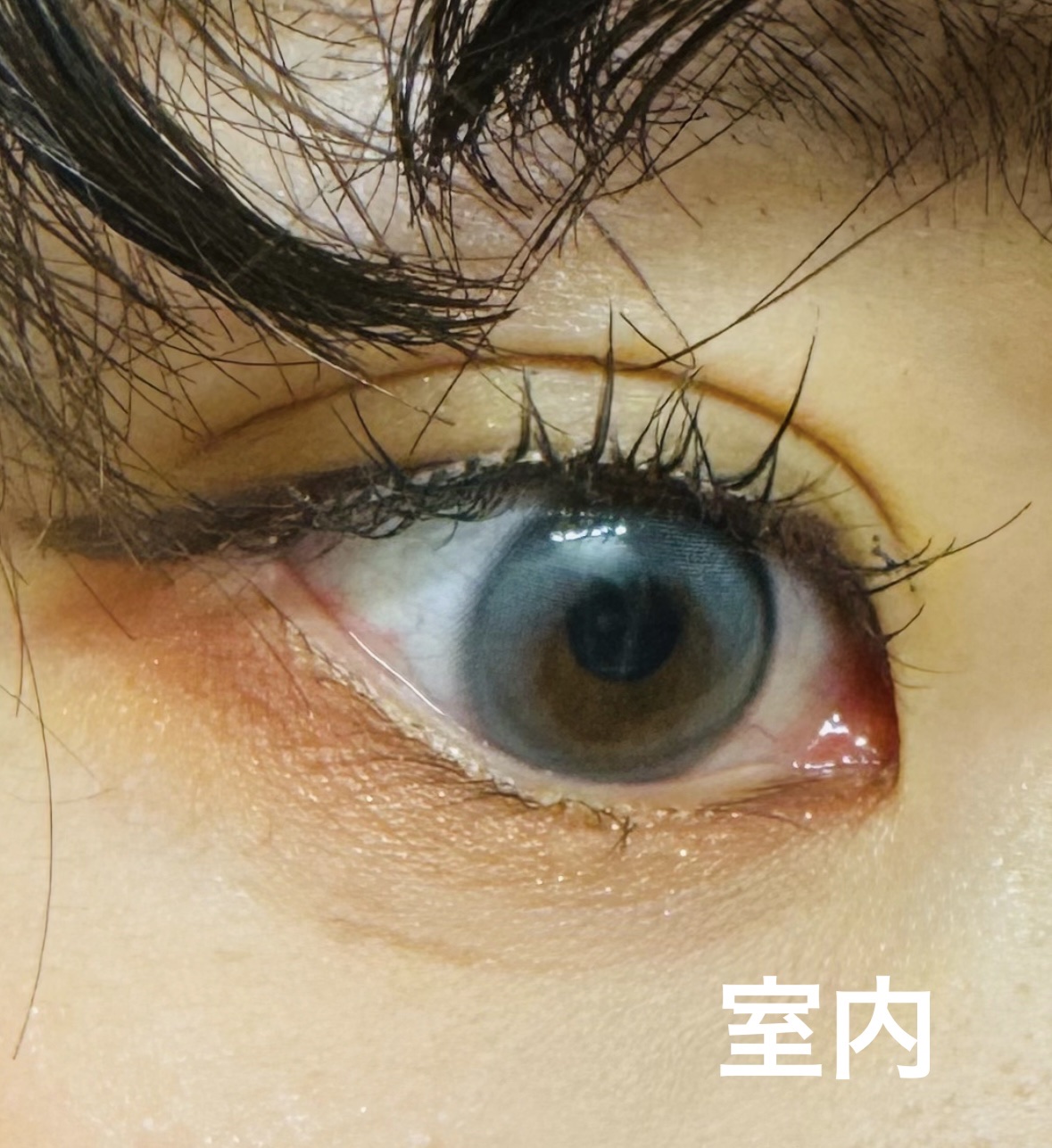 YURIAL 1DAY/URIA/ワンデー（１DAY）カラコンを使ったクチコミ（3枚目）