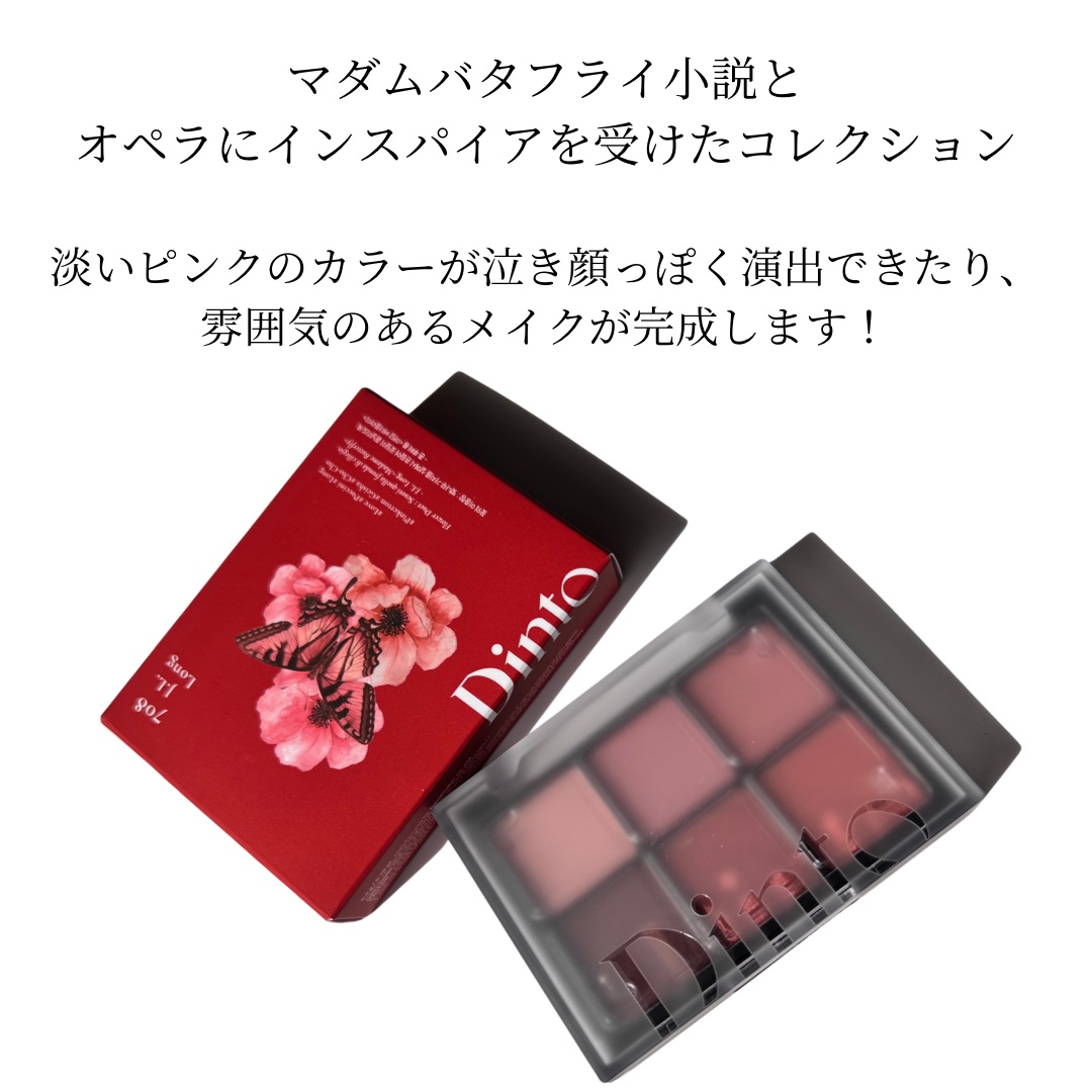 ブラーフィニシュシャドウパレット/Dinto/アイシャドウパレットを使ったクチコミ（3枚目）