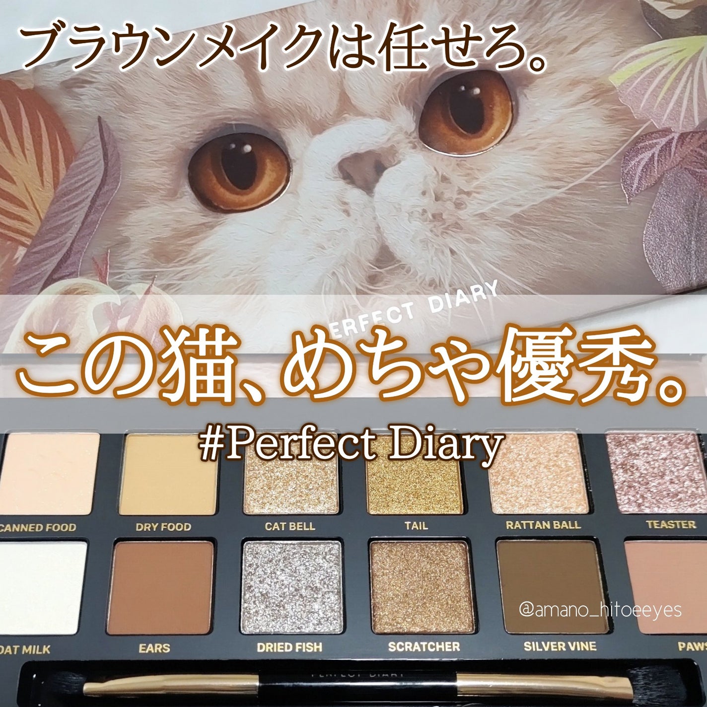エクスプローラ12色 動物アイシャドウパレット/PERFECT DIARY/アイシャドウパレットを使ったクチコミ(1枚目)