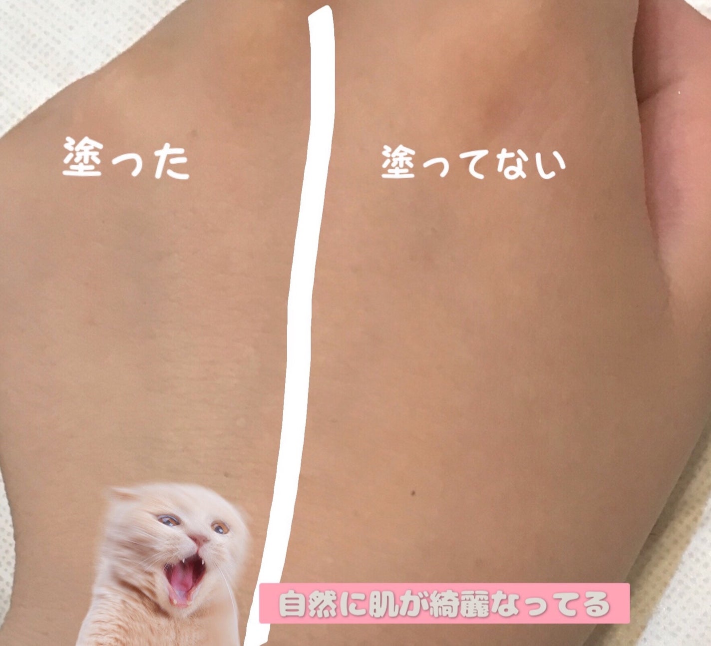 クリオ キル カバー スキン フィクサー クッション/CLIO/クッションファンデーションを使ったクチコミ(4枚目)