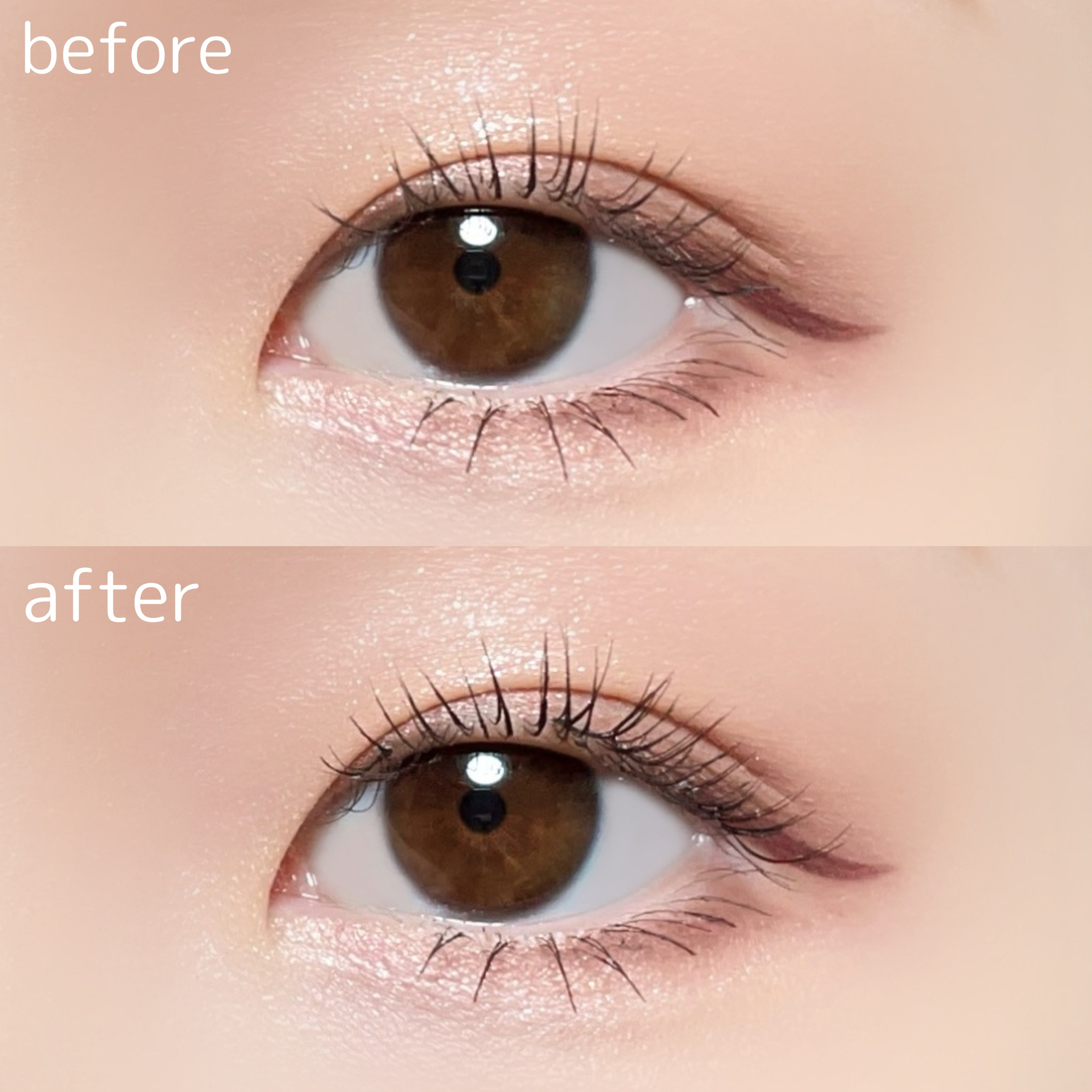 12mm Bold Dark Red/CCAM BBAK/つけまつげを使ったクチコミ（3枚目）