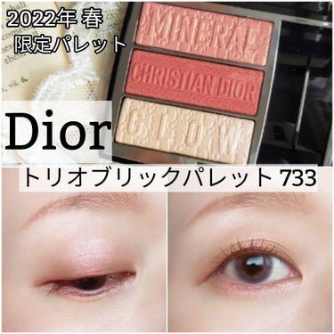 トリオ ブリック パレット/Dior/パウダーアイシャドウを使ったクチコミ（1枚目）