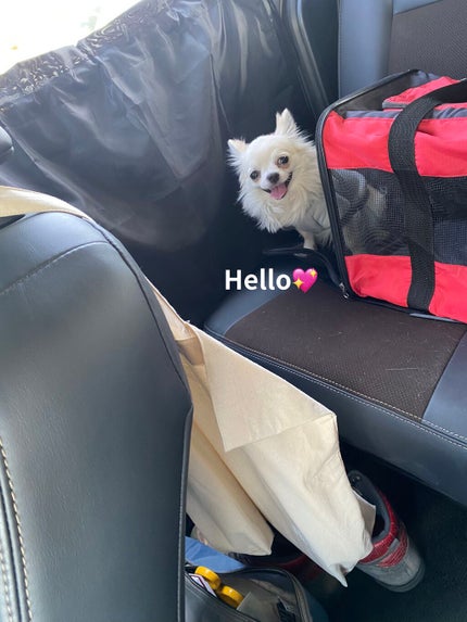 シャインオンミーネイルカラー/Dear.A/マニキュアを使ったクチコミ(5枚目)