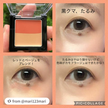 リシェ レッドトリック アイコンシーラー/Visée/パレットコンシーラーを使ったクチコミ(2枚目)