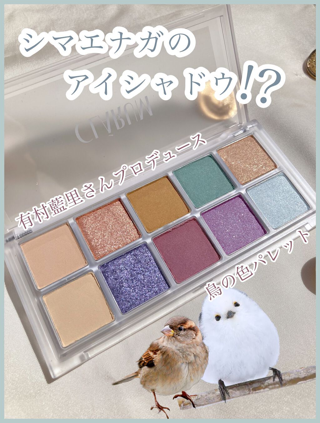ファーストバードアイシャドウパレット/CLARUM/アイシャドウパレットを使ったクチコミ（1枚目）
