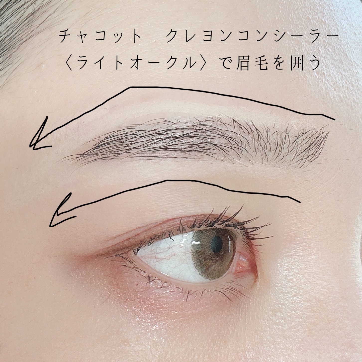 フーミー マルチアイブロウパウダー/WHOMEE/パウダーアイブロウを使ったクチコミ（2枚目）