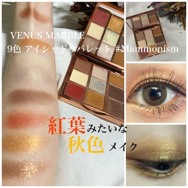 VenusMarble 9色アイシャドウパレット Mammonism(マンモニズム)/Venus Marble/アイシャドウパレットを使ったクチコミ（1枚目）