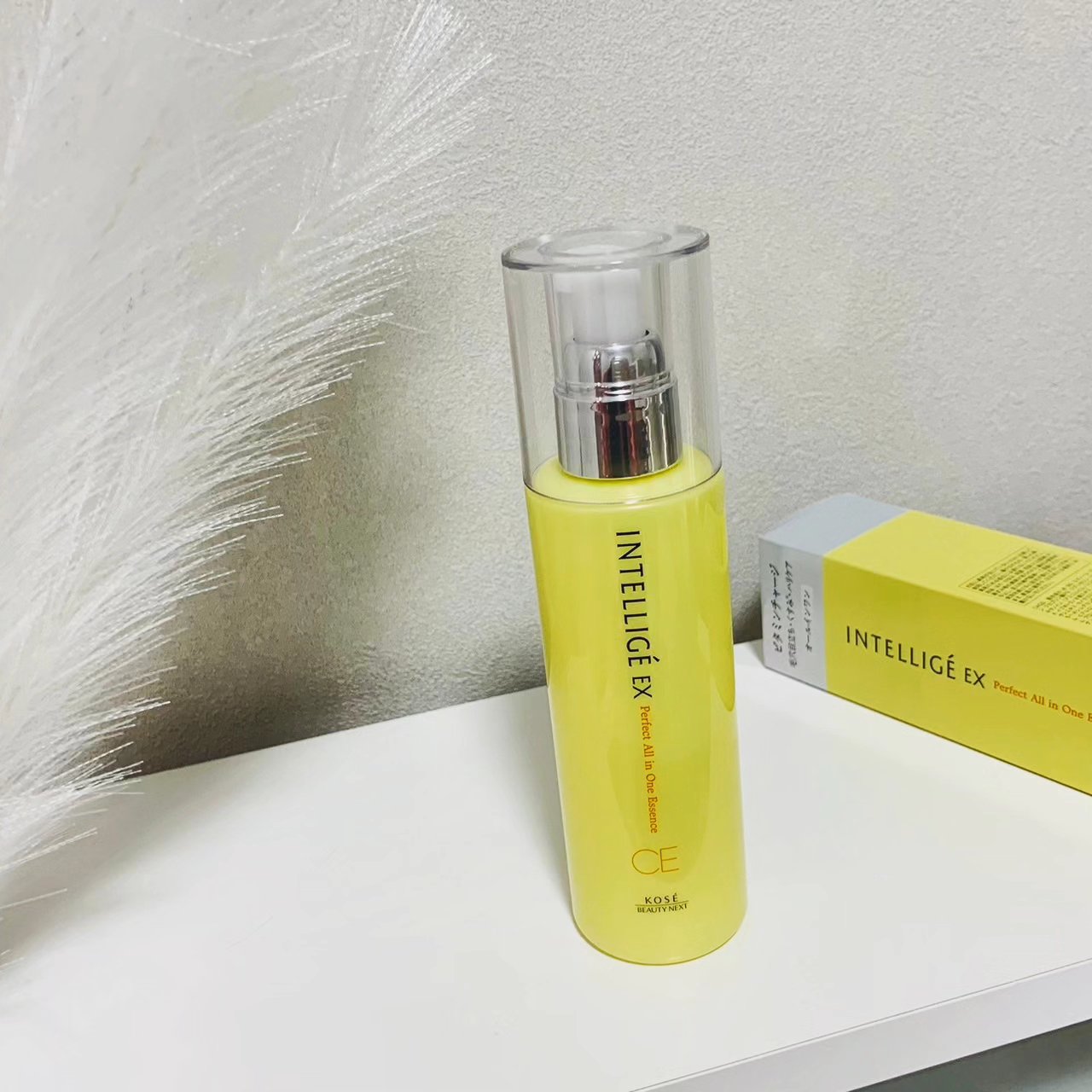 【アンテリージェ】5点/オールインワン/化粧水/朝用乳液/夜用乳液/美白乳液 パーフェクト オールインワン エッセンス CE｜アンテリージェEX