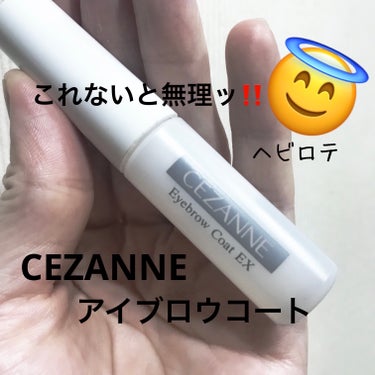 ✼••┈┈••✼••┈┈••✼••┈┈••✼••┈┈••✼

CEZANNE
アイブロウコートEX

眉毛ほぼなし！マロ眉の自分には絶対に
なくてはならない✋‼️‼️‼️

中学生の若かりしき頃に
ほとんど眉毛を剃ってなくしました😇
その時は良かったのだろうけど
年をとるにつれ…まじ後悔😂

けど眉毛描いてこれを塗ると
暑い夏でも眉毛消えることなく
なんとか残ってます👏

冬場は余裕で大丈夫！
こするとか、触らなければ！
眉毛無事に生き残ってます‼︎

夏は本当汗がやばいときは眉尻たまに
消えるけど…全部消えることはない！

画像3枚目は朝から夜まで化粧してたけど
眉毛無事です！

ダイソーとかにもこーゆうの売ってたけど
近所のダイソーでは最近見かけないので
最近はずっとCEZANNEのを
使ってます…‼︎
これからも眉毛が生えてこない限り
きっとこれを使い続けます…😇🌟



✼••┈┈••✼••┈┈••✼••┈┈••✼••┈┈••✼

#CEZANNE#アイブロウコートEX
#セザンヌ#アイブロウコート#プチプラ
#ドラッグストア#ドラコスの画像 その0