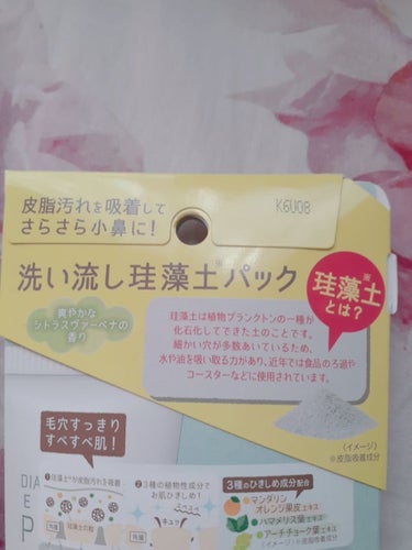 リフターナ　珪藻土パック/pdc/洗い流すパック・マスクを使ったクチコミ（2枚目）