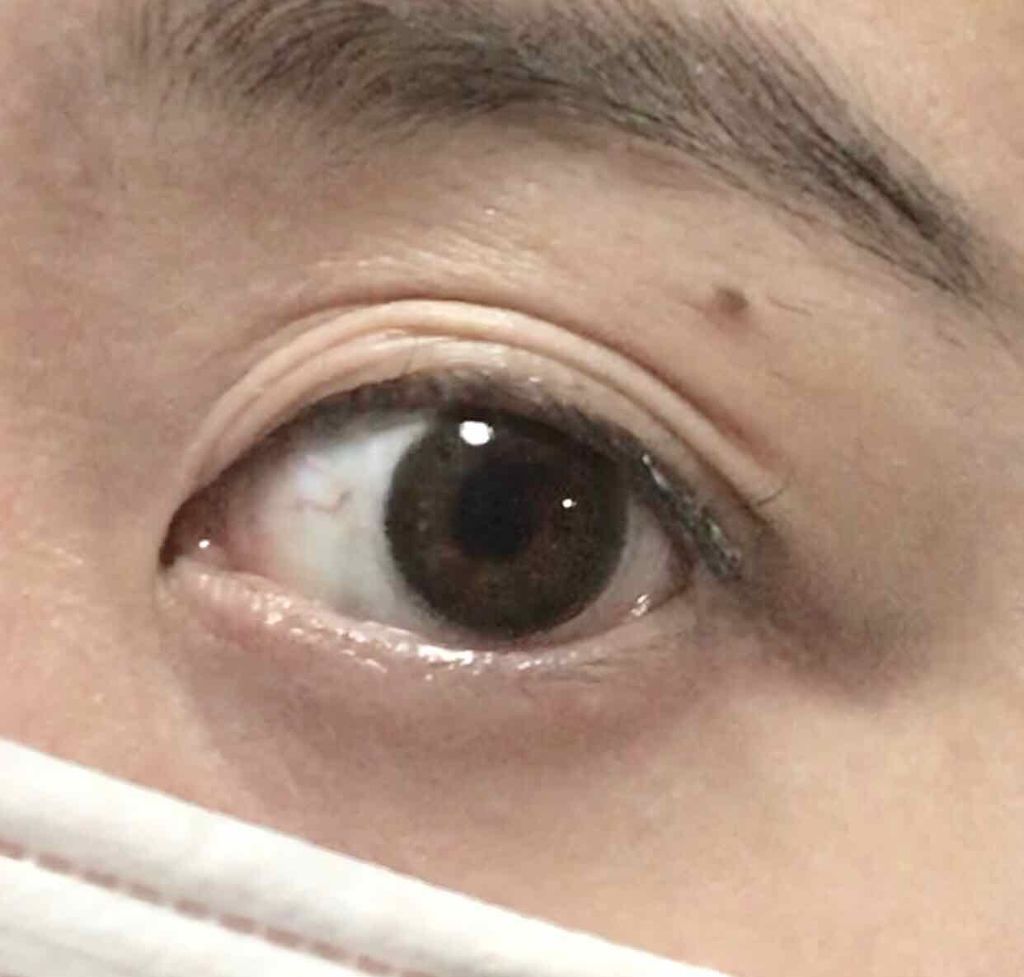 ReVIA 1day/ReVIA/ワンデー（１DAY）カラコンを使ったクチコミ（1枚目）