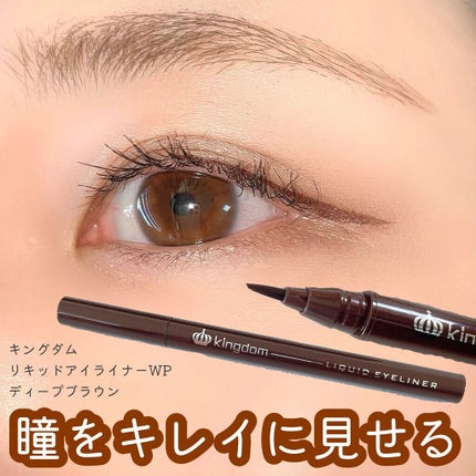 リキッドアイライナーWP ディープブラウン/キングダム/リキッドアイライナーを使ったクチコミ(1枚目)