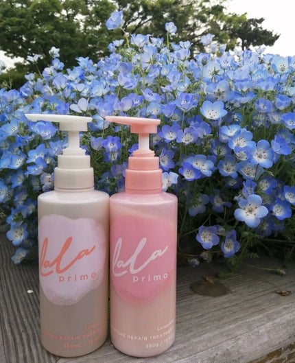 モイスチャーリペアエッセンスオイル/ララプリモ /アウトバストリートメントを使ったクチコミ(1枚目)