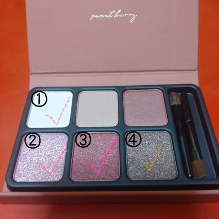 アイカラーパレット/heme/アイシャドウパレットを使ったクチコミ(2枚目)