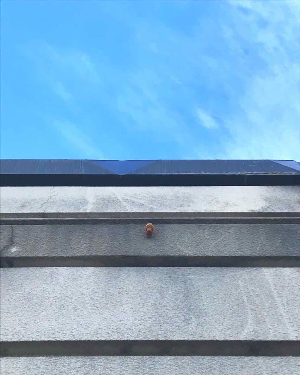 ヴィセ アヴァン シングルアイカラー/Visée/単色アイシャドウを使ったクチコミ（1枚目）