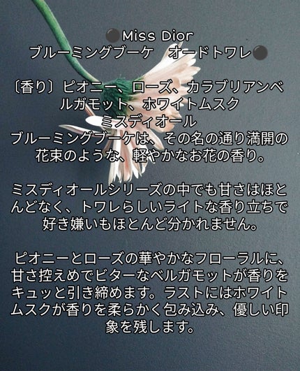【旧】ミス ディオール ヘア ミスト/Dior/ヘアミストを使ったクチコミ(5枚目)
