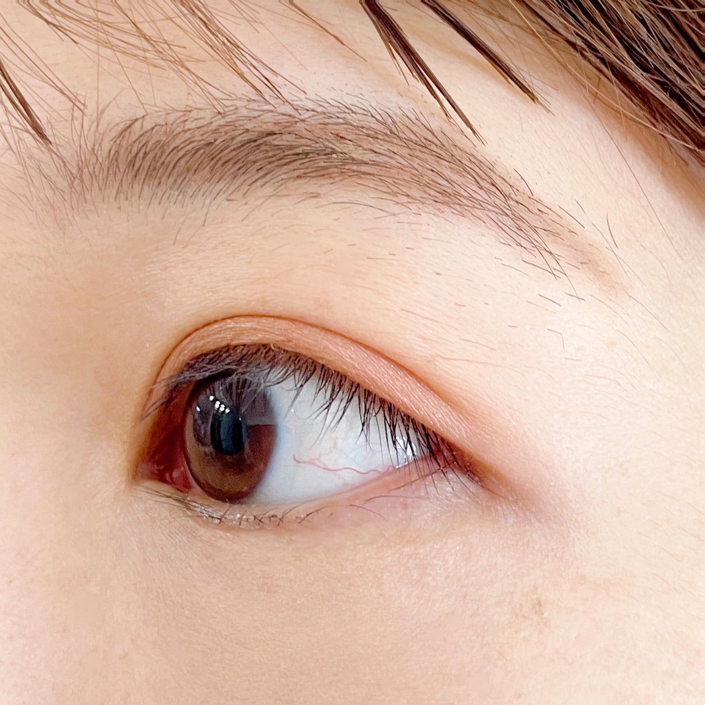 デザイニングブラウンアイズ/KATE/アイシャドウパレットを使ったクチコミ(6枚目)