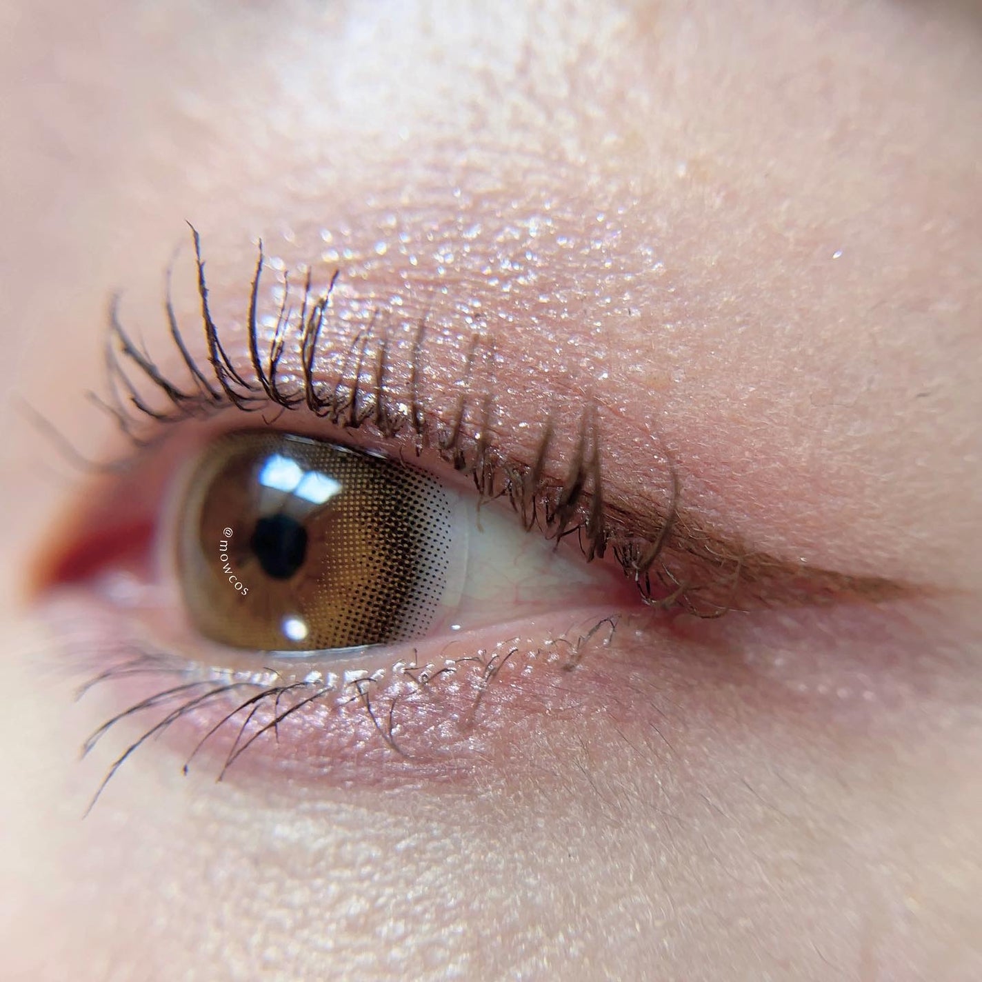 アディクション ザ アイシャドウ パレット/ADDICTION/アイシャドウパレットを使ったクチコミ(4枚目)