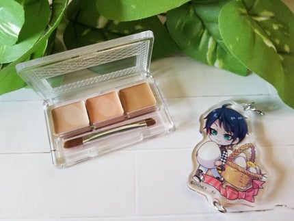 パレットコンシーラー/CEZANNE/パレットコンシーラーを使ったクチコミ(1枚目)