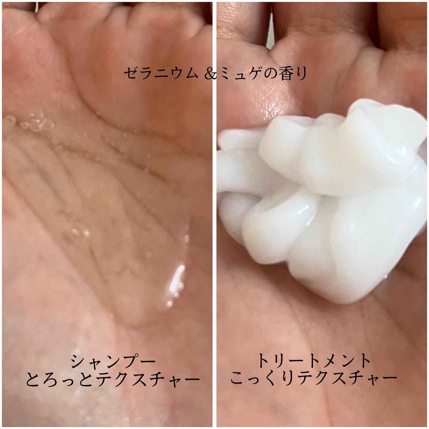 メルト モイストシャンプー／トリートメント/melt/市販シャンプーを使ったクチコミ（2枚目）