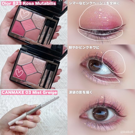 パラダイス シャイン アイ シークイン/DEAR DAHLIA/リキッドアイシャドウを使ったクチコミ(3枚目)