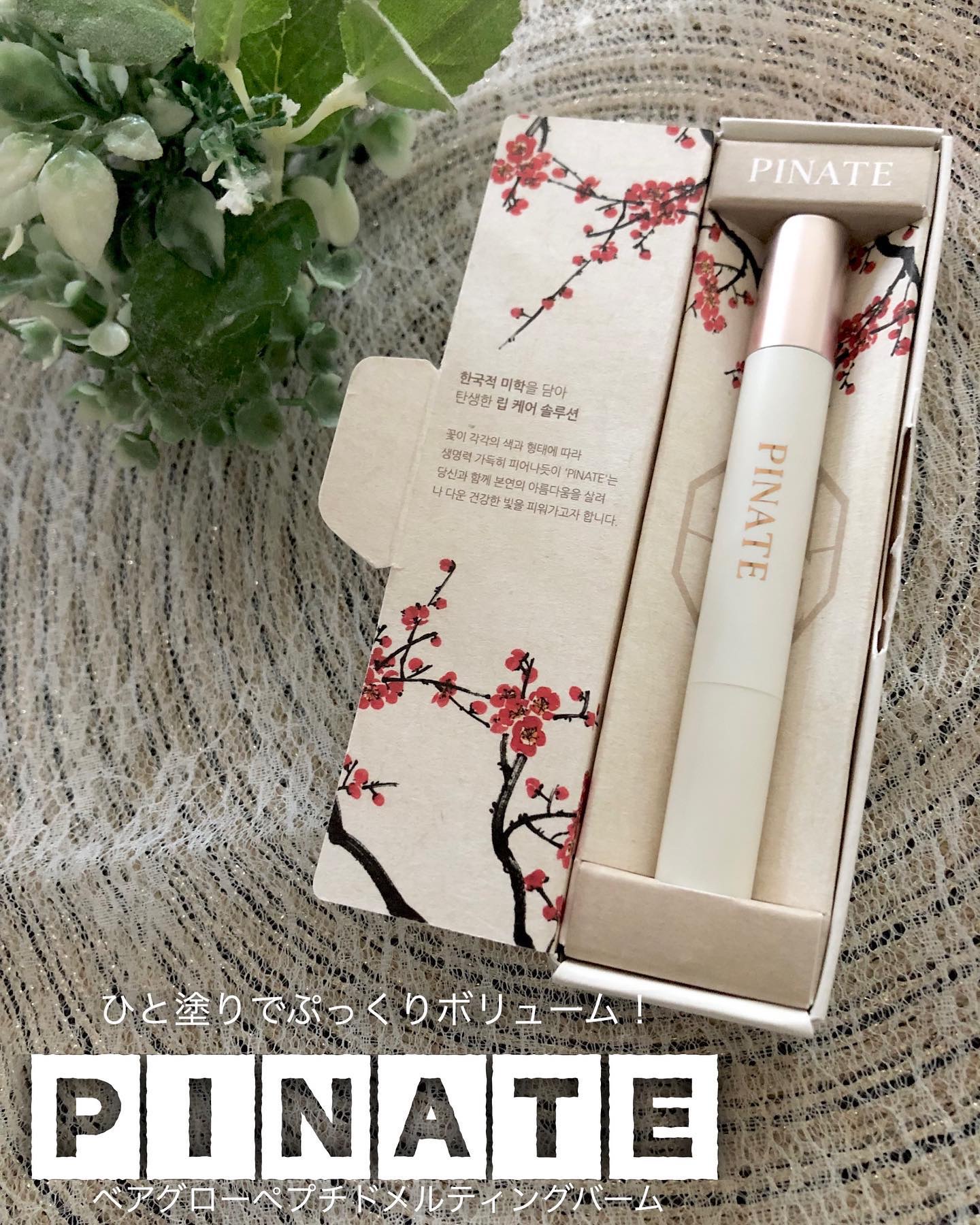 ベアグローペプチドメルティングバーム/PINATE/口紅を使ったクチコミ（1枚目）