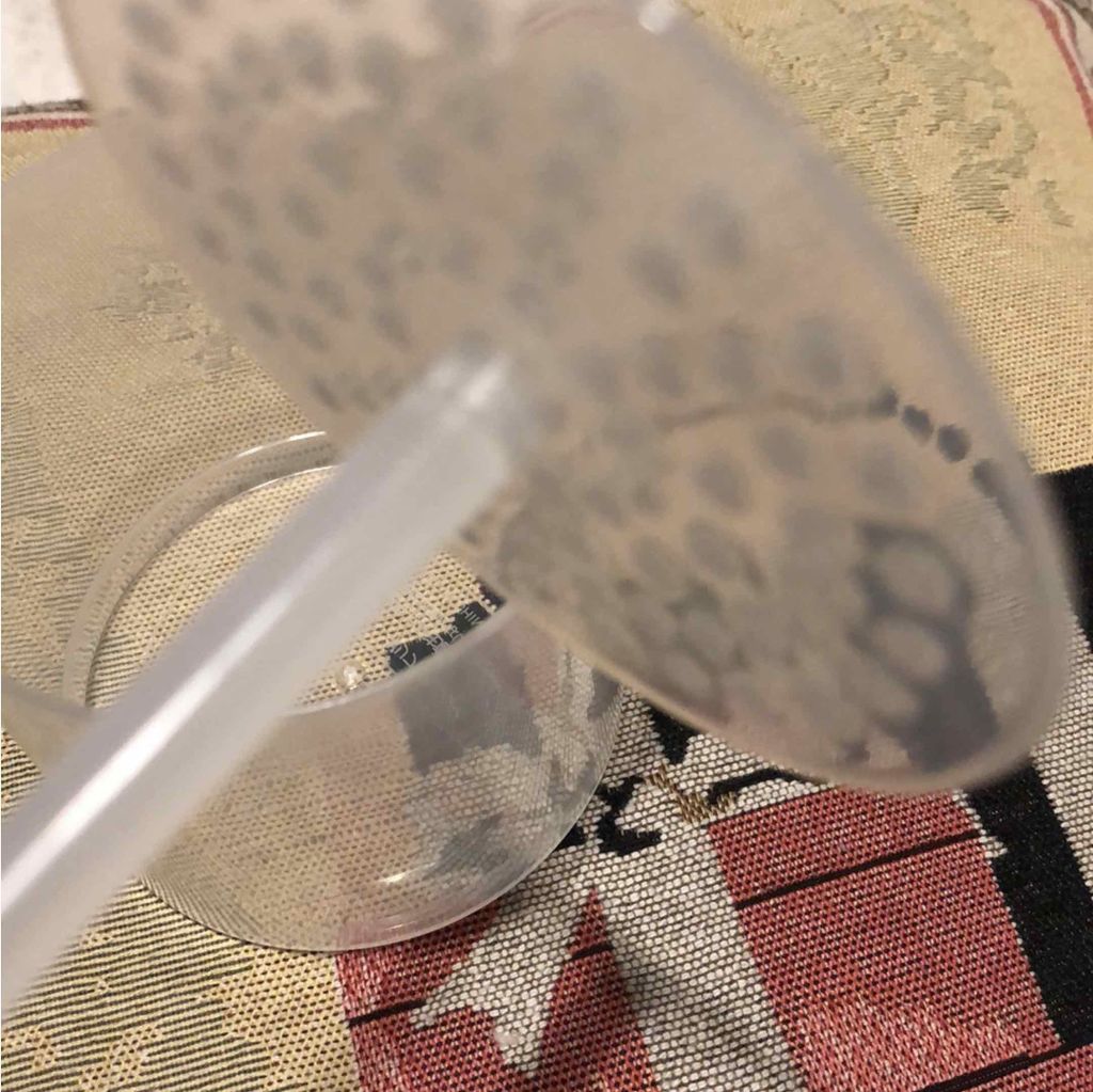 ほいっぷるん/DAISO/その他スキンケアグッズを使ったクチコミ(2枚目)