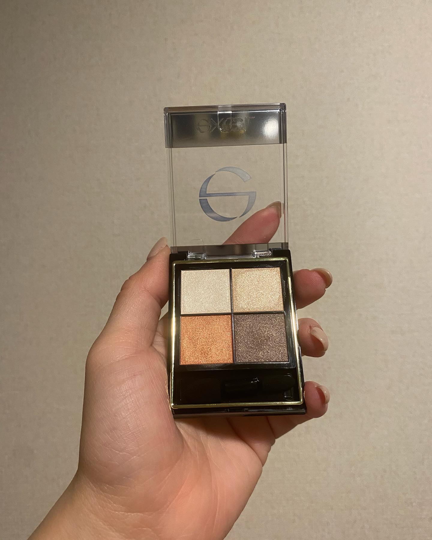 リアルクローズシャドウ CS01 テラコッタブーティ/excel/アイシャドウパレットを使ったクチコミ（2枚目）