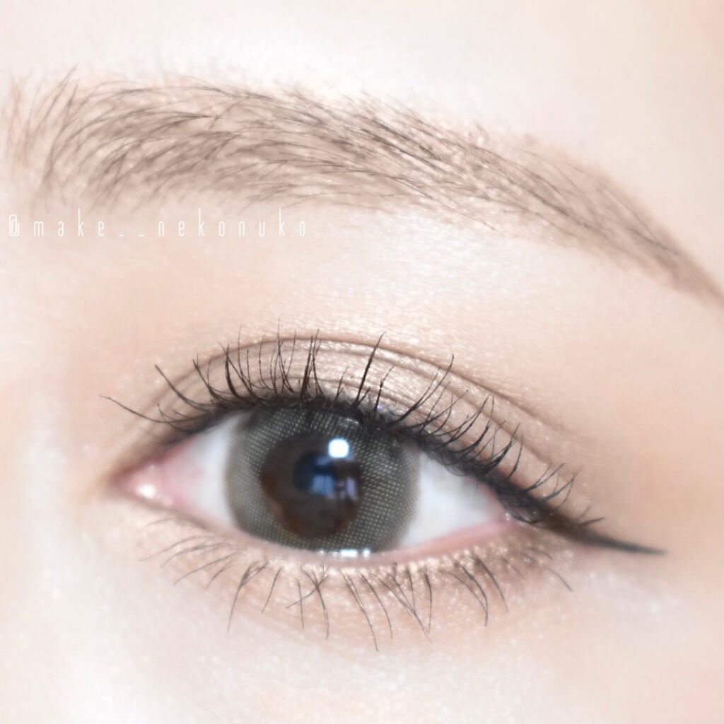 フラロッソ インテンソ アイシャドウ BR01/アスタリフト/アイシャドウパレットを使ったクチコミ（2枚目）