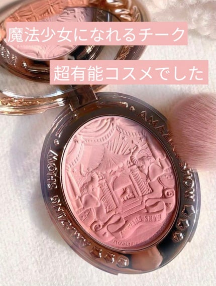 サーカスシリーズ グラデーションブラッシュ /FlowerKnows/パウダーチークを使ったクチコミ(1枚目)