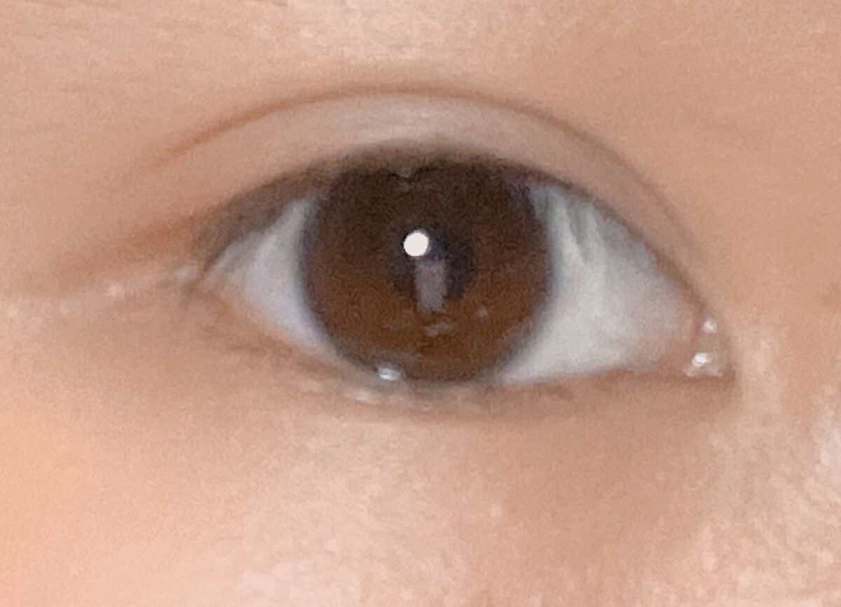 パーフェクトスタイリストアイズ/キャンメイク/アイシャドウパレットを使ったクチコミ（1枚目）