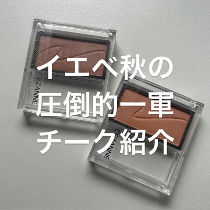 チークブラッシュ/CEZANNE/パウダーチークを使ったクチコミ(1枚目)
