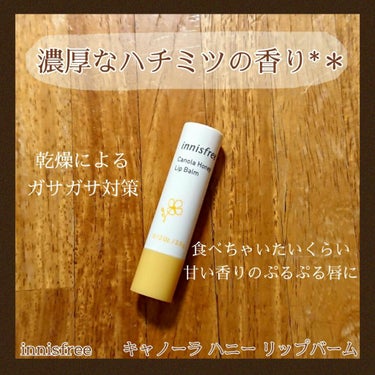 キャノーラハニー リップバーム/innisfree/リップケア・リップクリームを使ったクチコミ（1枚目）