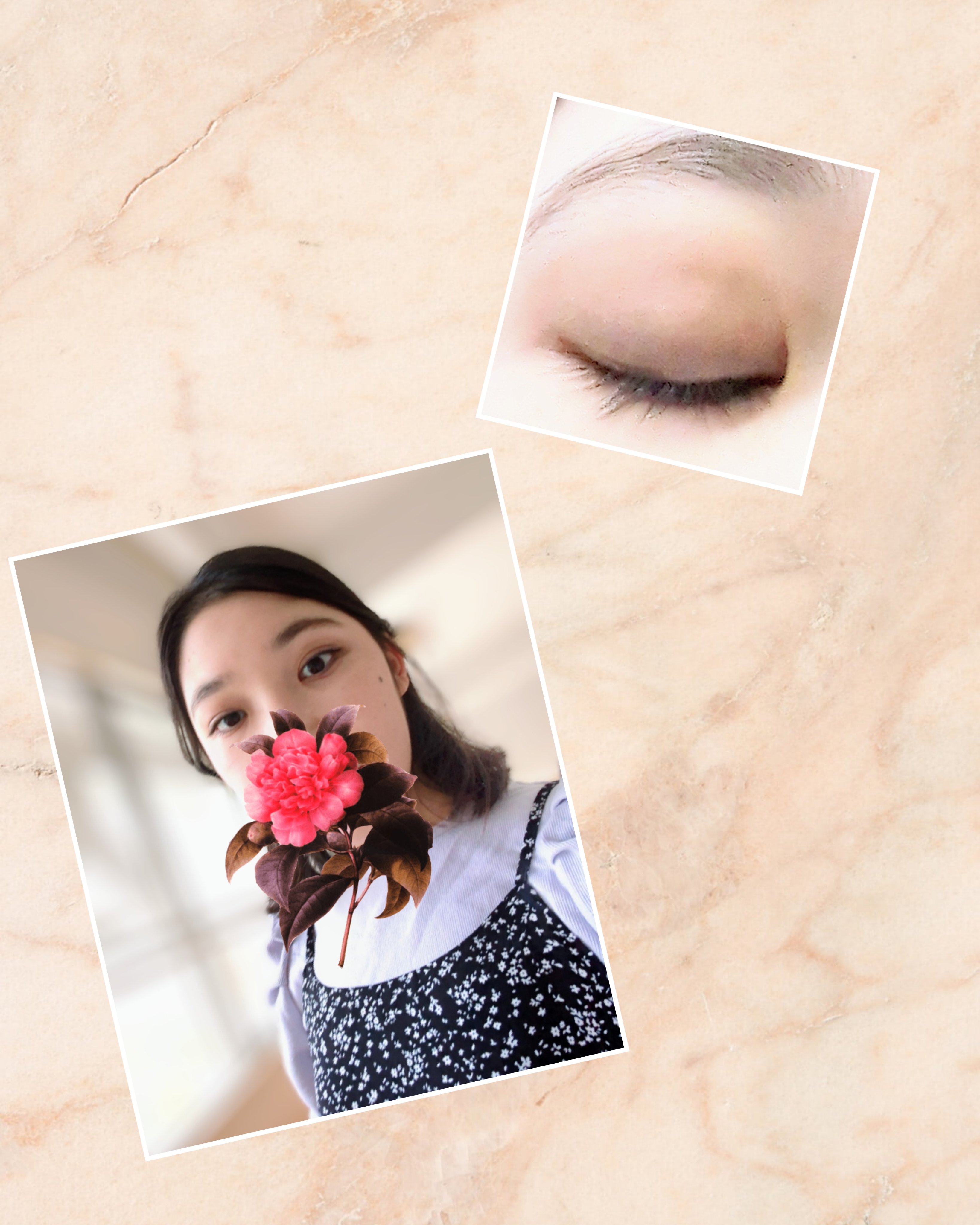 シェード アンド シャドウ パレット/CLIO/アイシャドウパレットを使ったクチコミ（2枚目）