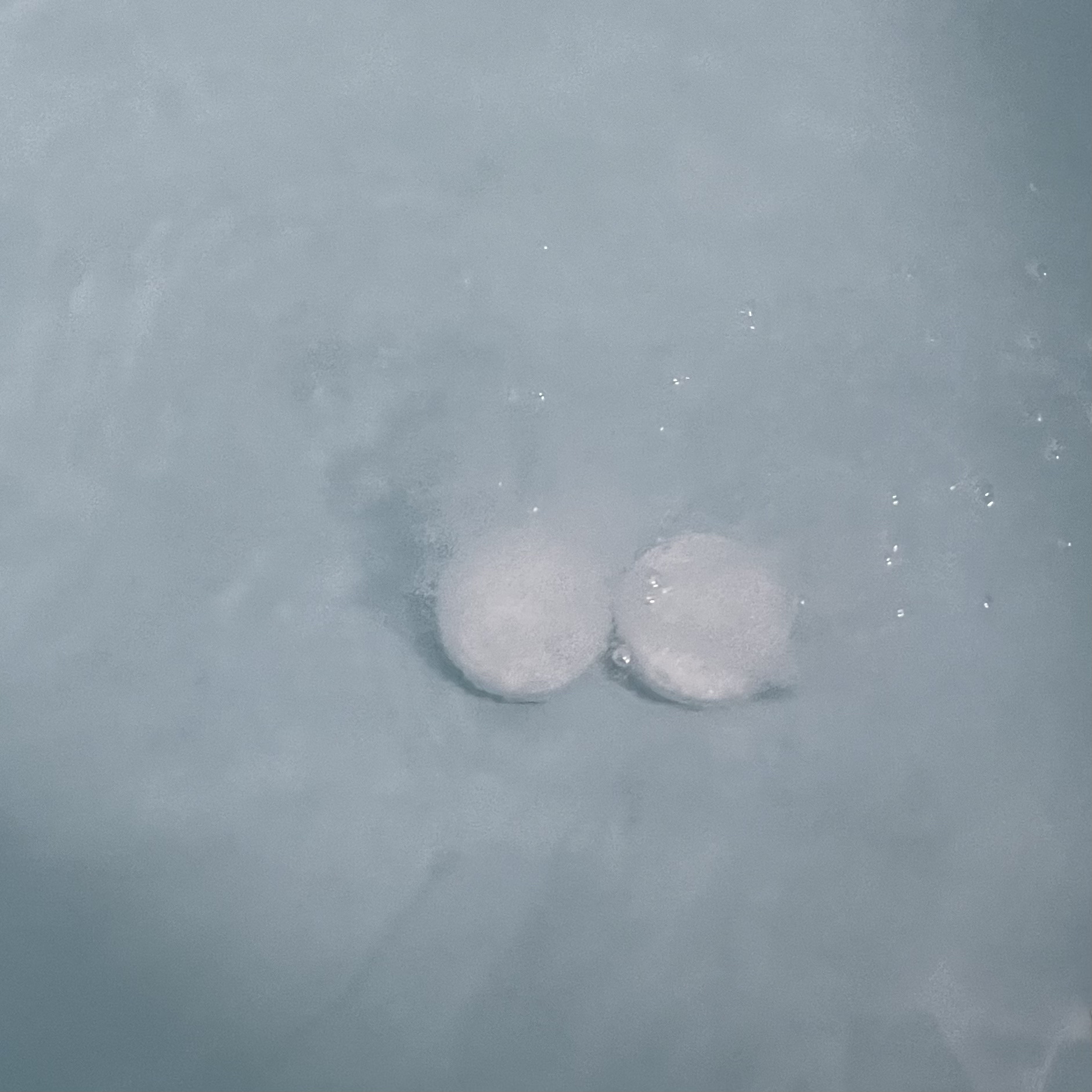 薬用 HOT TAB WELLNESS  45錠/HOT TAB/炭酸系入浴剤を使ったクチコミ（3枚目）