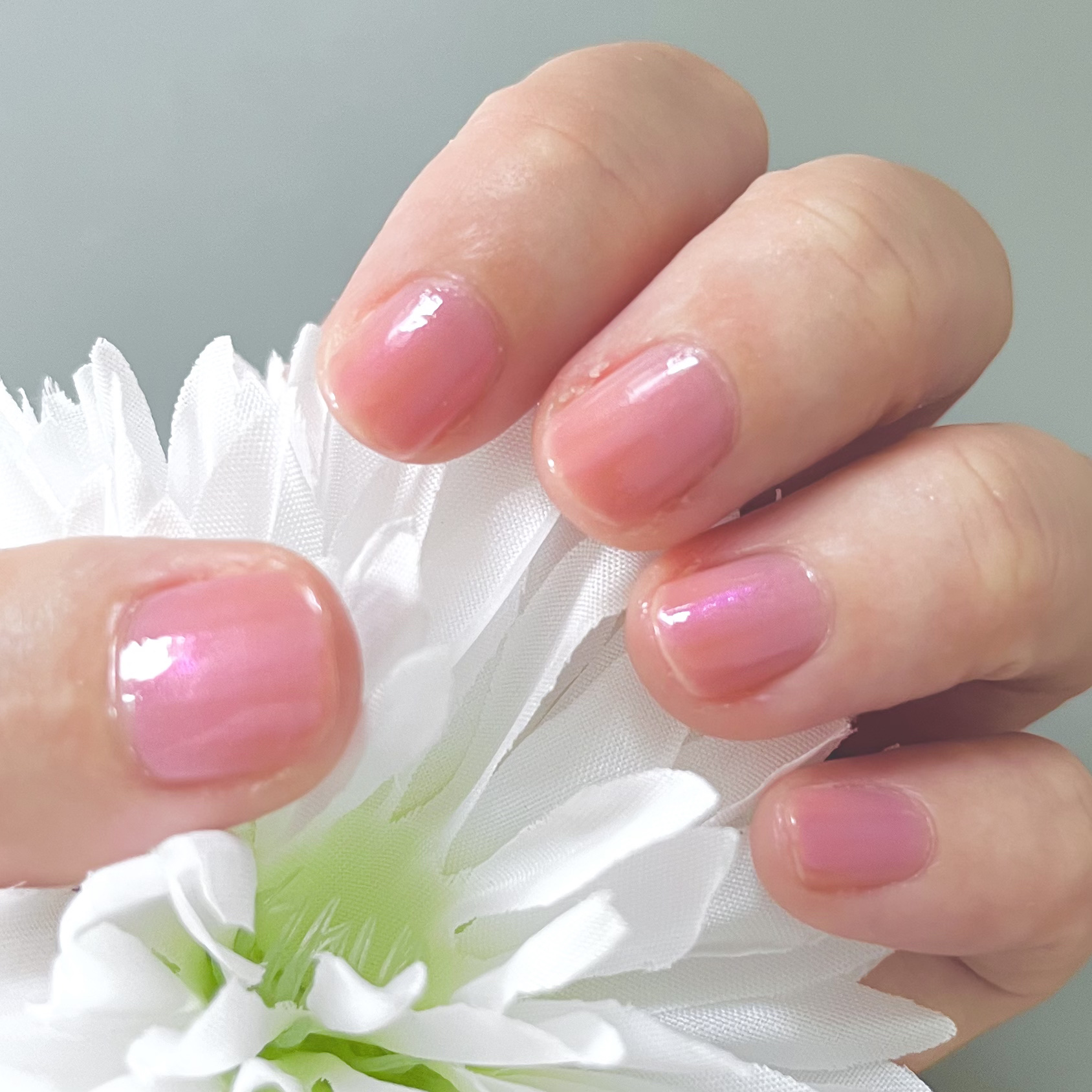 グロッシーコート/スキューズミー/オールインワンネイルを使ったクチコミ（1枚目）