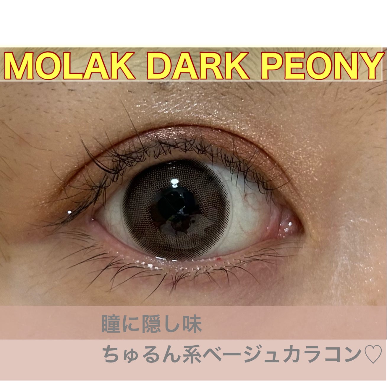 MOLAK 1day/MOLAK/ワンデー(1DAY)カラコンを使ったクチコミ(1枚目)