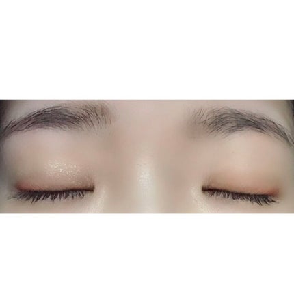 アニマルアイシャドウ(4シェード) D02 素直/ZEESEA/アイシャドウパレットを使ったクチコミ(3枚目)