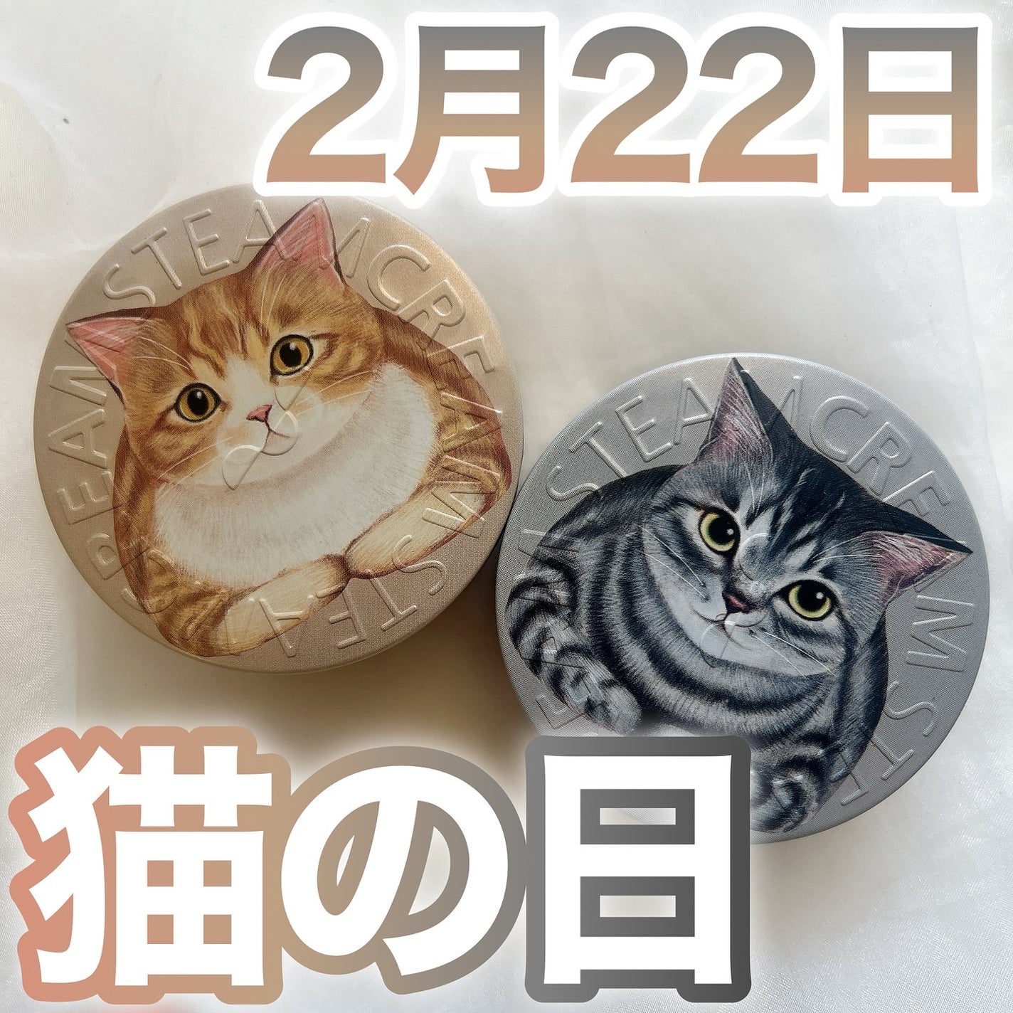 スチームクリーム/STEAMCREAM/ボディクリームを使ったクチコミ(1枚目)