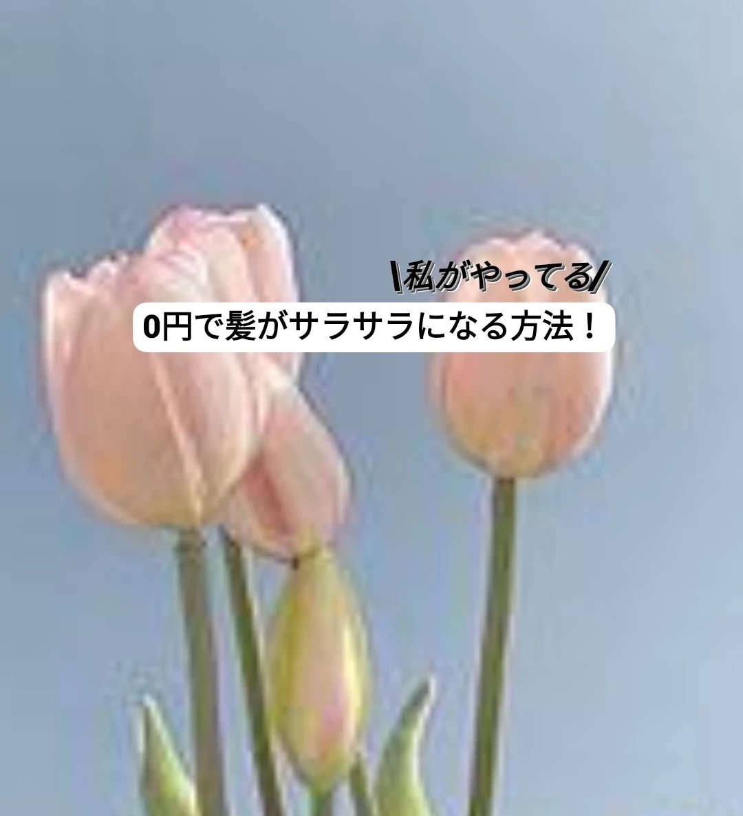 ふわふわフェイスタオル/DAISO/その他を使ったクチコミ（1枚目）