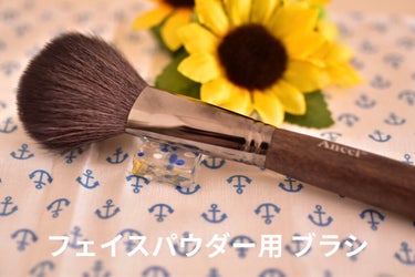 Ebony 26/Ancci brush/メイクブラシを使ったクチコミ（2枚目）