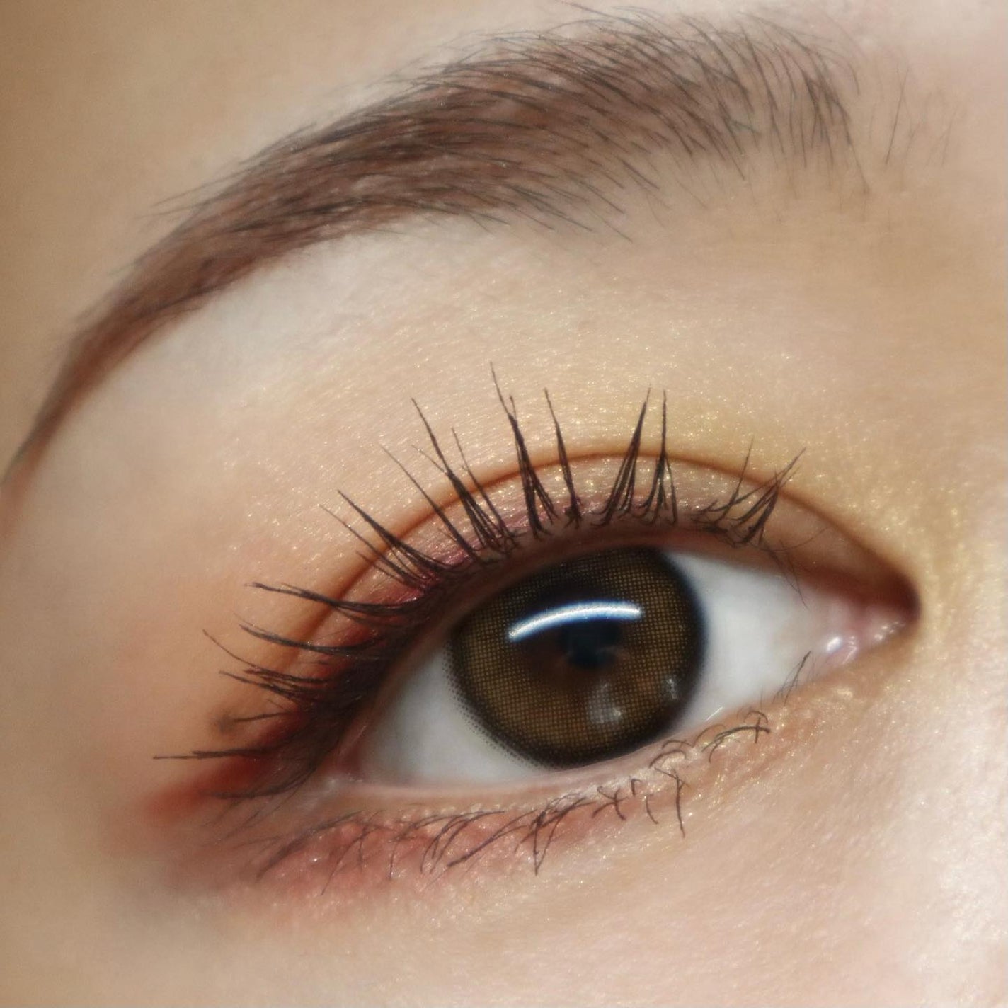 シグニチャー カラー アイズ/SUQQU/アイシャドウパレットを使ったクチコミ(5枚目)