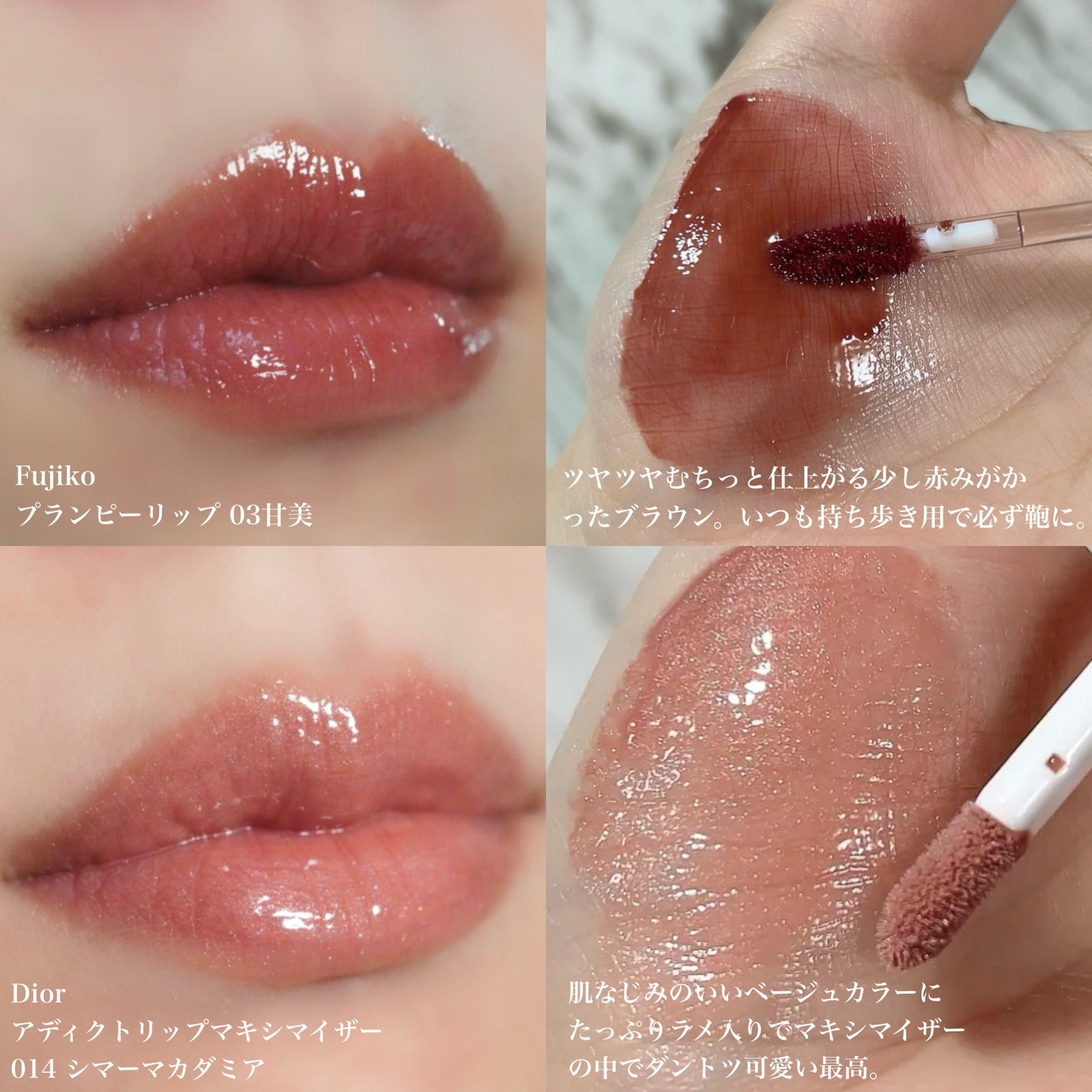 CHANEL・Dior・M・A・C・Laka・Fujiko・primeraの口紅・グロス CHANEL・Dior・M・A・C・Laka・Fujiko・primeraの口紅・グロス
