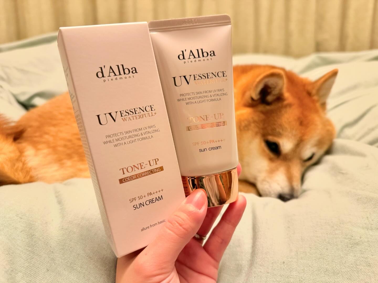 ウォータフルトーンアップサンクリーム/ダルバ/日焼け止めクリームを使ったクチコミ（1枚目）