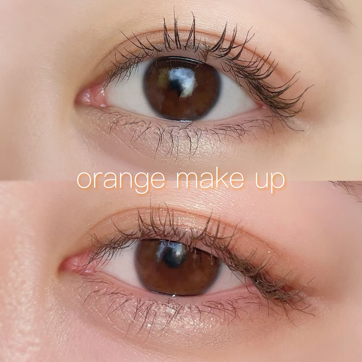 The Bella collection eyeshadow palette/CELEFIT/アイシャドウパレットを使ったクチコミ（1枚目）